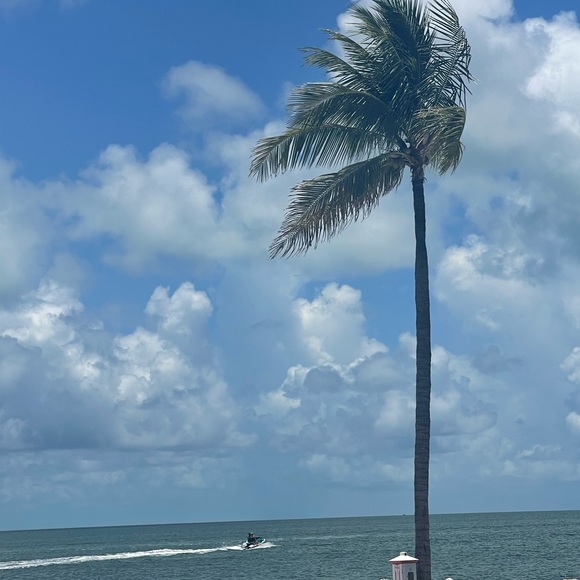 LIKE THIS TO BE NOTIFIED WHEN I GO LIVE!!  Live tonight share show! - Picture 7 of 7